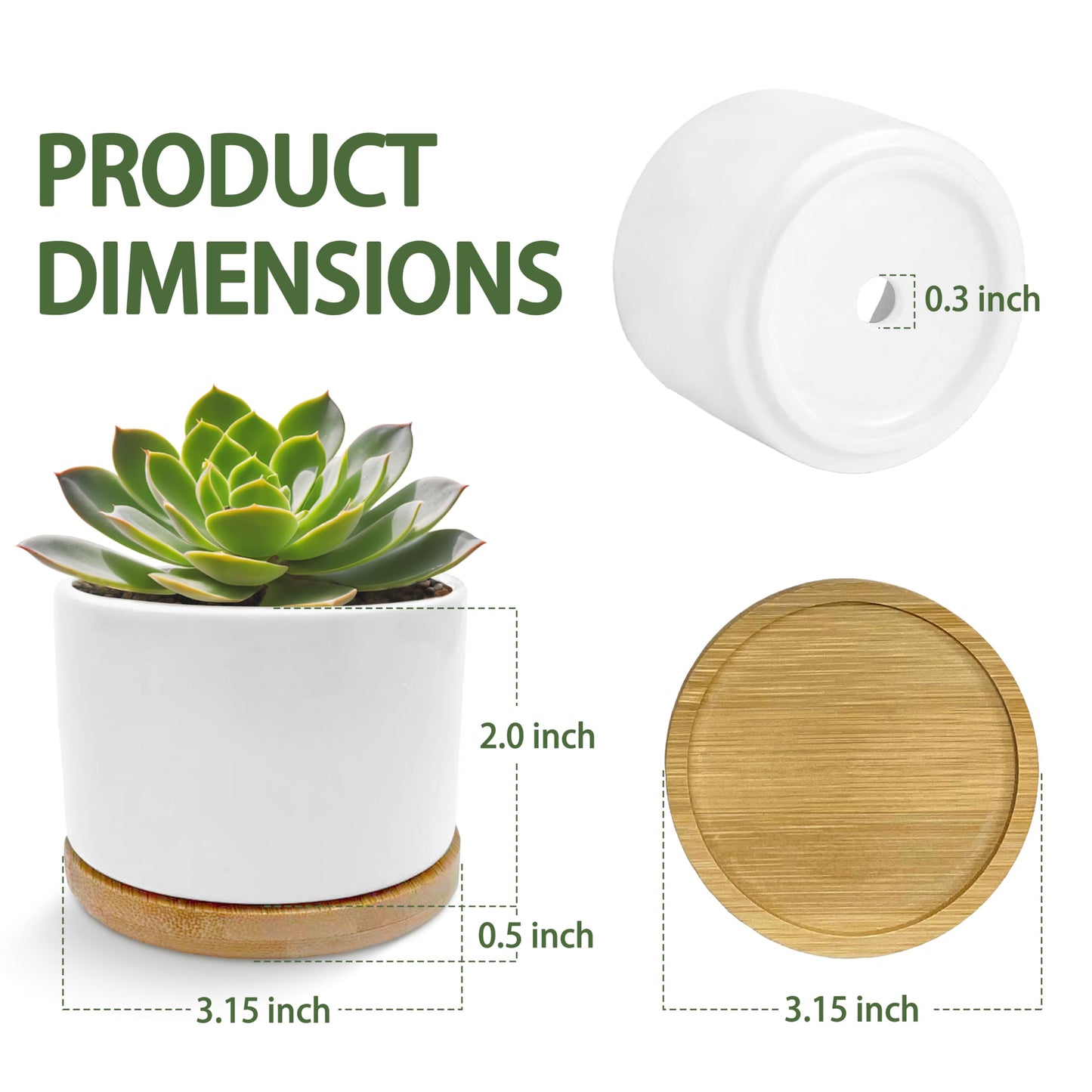 EVIHCG Funny Humorous Saying Planter Pots, Sarcastic I Don't Know Where You Got the Audacity Ceramic Succulent Plant Flower Planters for Home Office Desk Table Shelf(No Plants)