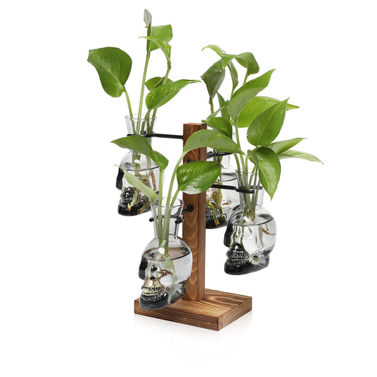 Plants Propagation Stations Skull Glass Propagation Birthday Gift for Women Garden Plant Lovers - 4 Skull