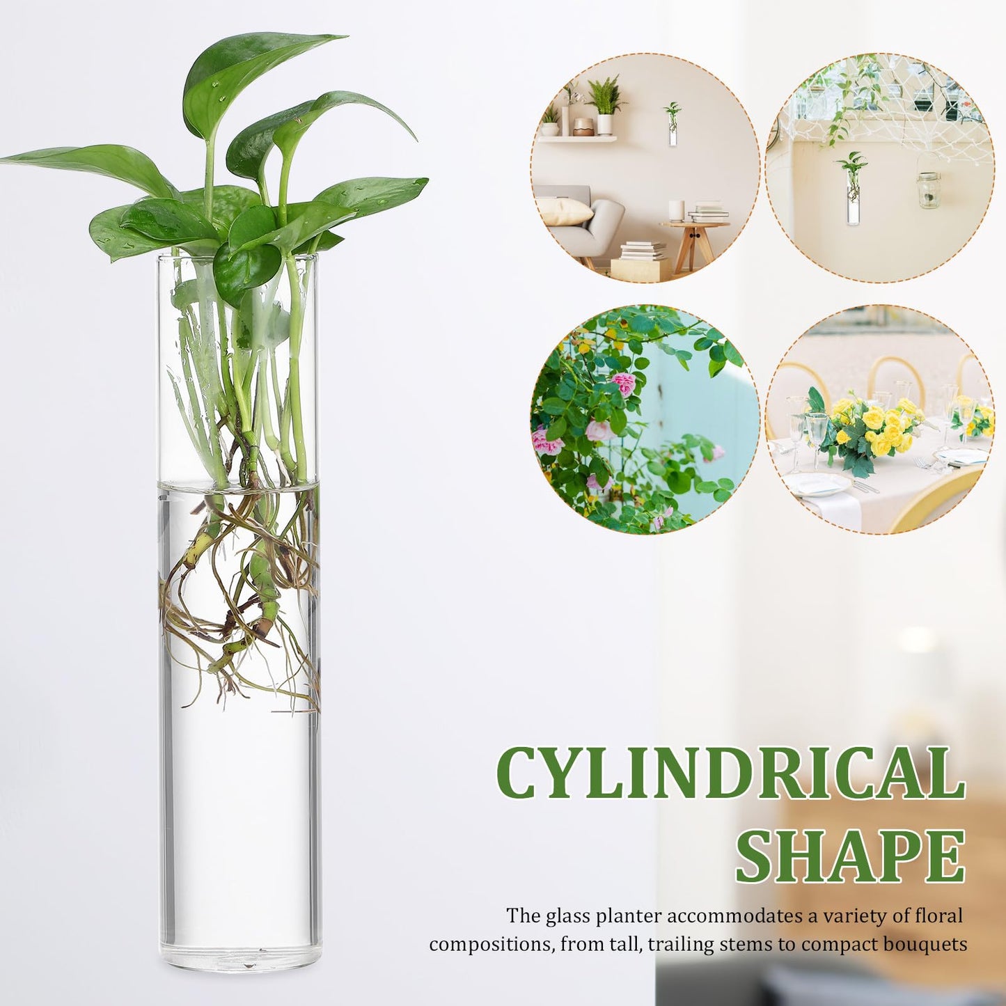 OSOLADY Wall Mounted Glass Cylinder Vases for Plants, Hanging Terrariums Water Propagation Stations, 2pcs Large Round Tube Holders for Indoor Home Décor