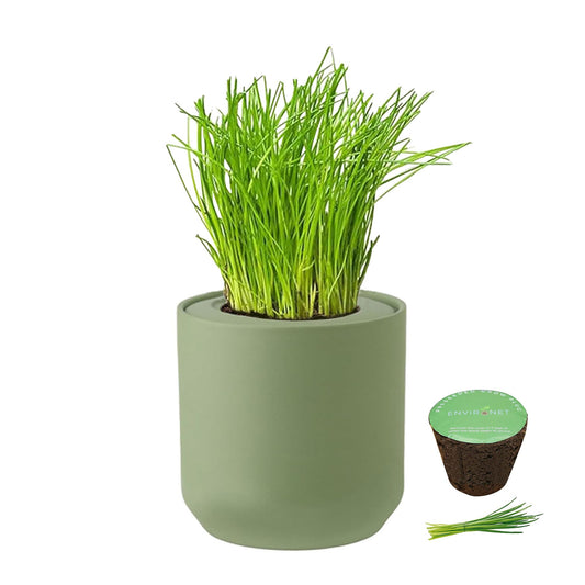 Environet Hydroponic Herb Growing Kit, Self-Watering Kitchen Herb Garden Starter Kit with Green Ceramic Pot and Seeds (Chives)