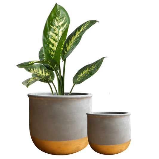 Olly & Rose Gold Dip Ceramic Plant Pot Set 2 Indoor Planters 17cm + 12cm Outdoor Flower Pots Cement Plant Pots