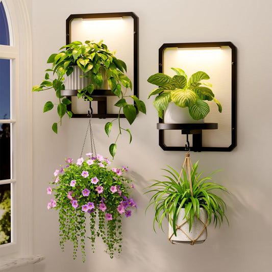 LASZOLA Plant Picture Frame Holder Wall Mount Indoor Window with 2 Grow Light, 2 Pack Modern Floating Flower Stand Shelf with Hooks, Metal Hanger Display Decor for Living Room, Black