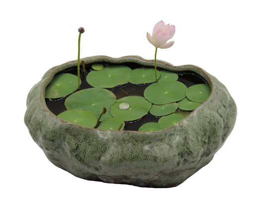 Bonsai Lotus Pot, Shallow Succulent Planter Pot, Goldfish Pot, Premium Ceramic with Decorative Copper Patina Glaze