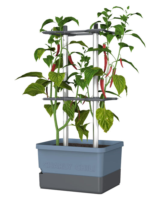 BUZZY Seeds Charly Chili Self-Watering Planter with Vertical Trellis – 1.2 Gal Reservoir, Large Capacity Planter for Chili Peppers, Bell Peppers & Eggplants (Blue)