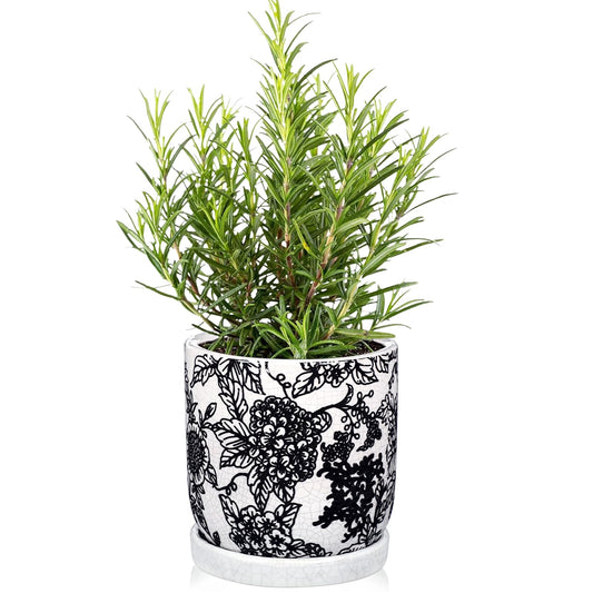 Black and White Ceramic Planters, Ceramic Flower Pots with Drainage Hole & Saucer, Vintage Cracked Glaze Ceramics Plant Pots for Succulents, Herbs, Orchids, Home, Office, Garden, Tabletop, Shelf Decor
