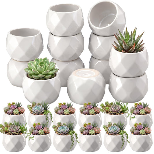 Acellegic 24 Pack 2.5 Inch Mini Succulent Plant Ceramic Pot with Drainage Hole, Small Pineapple Clay Garden Planter for Succulents, Cactus, DIY Easter Spring Craft Activity(White,Fashion)