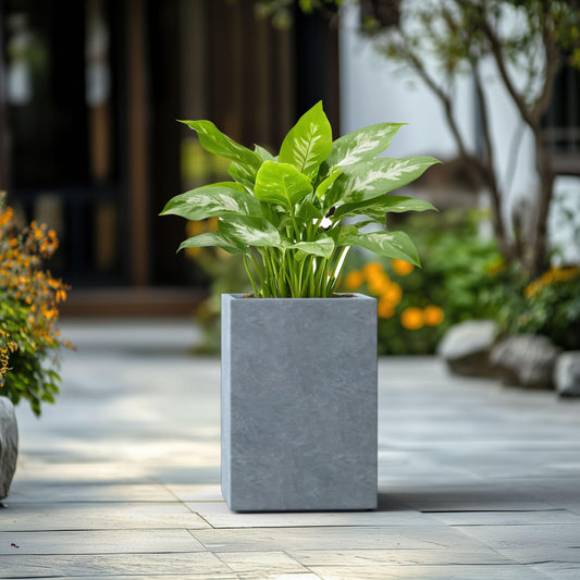 Kante AF0007C-60611 Concrete Tall Square, Outdoor/Indoor Lightweight Planters Pots with Drainage Hole, Modern Style for Balcony Patio Deck Livingroom, 19" H, Light Gray