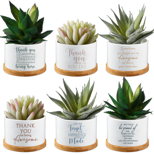 Unittype 6 Pcs Teacher Appreciation Gifts Ceramic Succulent Mini Planter Planter with Tray Office Desk Decor Thank You Gifts for Employee Teacher Nurse Staff End of Year Graduation