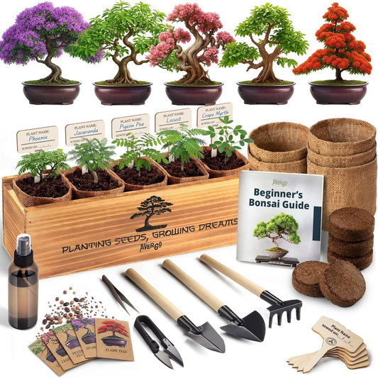AVERGO Bonsai Tree Kit Classic - 5X Unique Japanese Bonzai Trees | Complete Indoor Bonsai Starter Kits for Growing Trees – DIY Gardening Gifts for Mother, Women & Men