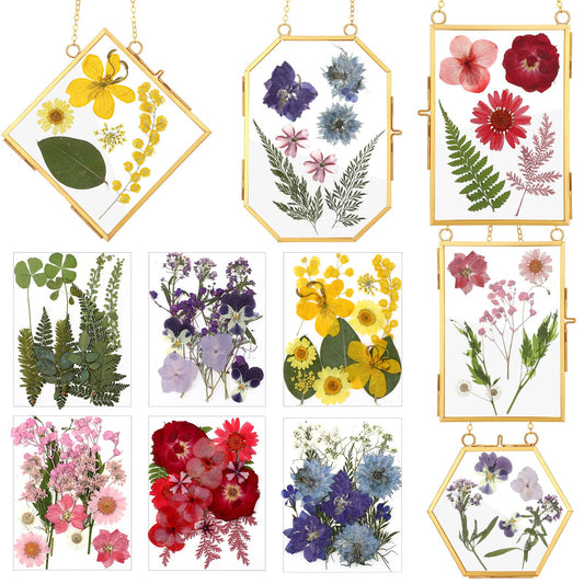 Bucherry 5 Pcs Glass Frame for DIY Pressed Flowers Art Brass Hanging Photo Picture Frame with Chain and 6 Styles Pressed Flowers Collage Glass Craft Frames for Wall Decor Display Gallery (Gold)