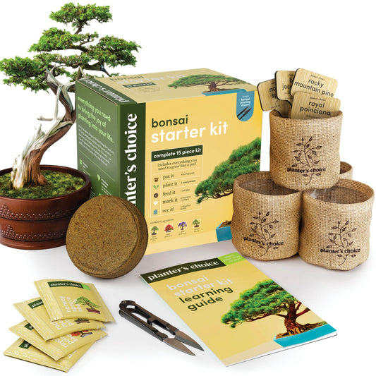 Bonsai Starter Kit - Gardening Birthday Gifts for Women & Men - Bonsai Tree Growing Garden Crafts Hobby Kits for Adults, Unique DIY Hobbies for Plant Lovers - Unusual Gifts Ideas Mom, Her, Friend