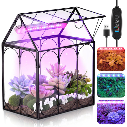 Meonum Tiny Glass Terrarium Kit with Grow Light, Venus Fly Trap Terrarium with Absorbent Mat, Timer&3 Light Modes for Succulent Live Air Plants Indoor Home Office Decor (7.1"x 4.7"x 8.7",USB Powered)