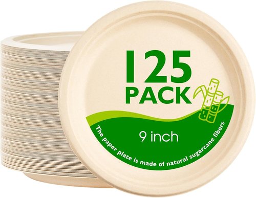 Compostable Paper Plates by Eco-Choice - 9 Inch Heavy Duty, Biodegradable & Unbleached, 125 Pack for Parties & Picnics
