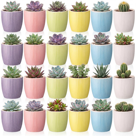 Ferrochef 24 Pcs 2.7 Inch Small Succulent Plant Ceramic Pot with Drainage Hole, Cute Mini Succulent Pots for Plants, Succulents, Cactus, DIY Easter Spring Craft Activity, 6 Colors(Vertical Stripes)