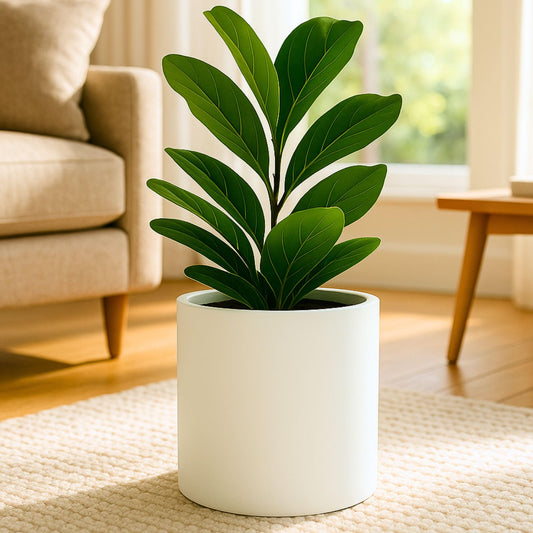 Fox & Fern 10 Inch Plant Pot with Hidden Saucer — Premium Lightweight Fiberstone Matte White Self Watering Planter with Seamless Saucer - Indoor & Outdoor Use - Weather Resistant & UV Resistant