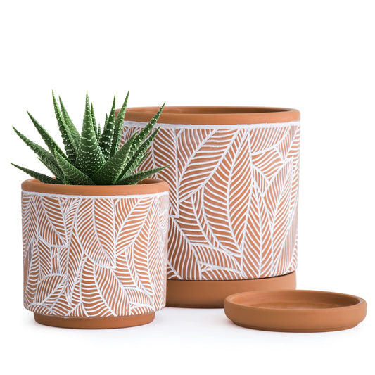 D'vine Dev Set of 2 Terracotta Pots, Leaves Pattern Planter Pot, 4 Inch and 6 Inch, Pot with Drainage Hole and Saucer, Terracotta/White, 31-958-I-1