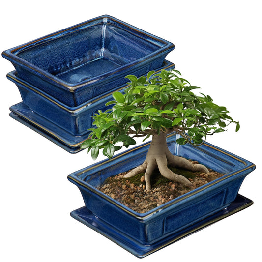 Villa Como Bonsai Pots Small Shallow Succulent Planters for Live Bonsai Trees Set of 2, 7.5" Ceramic Pot for Succulents Indoor with Drainage Hole and Saucer, Outdoor Cactus Plant Bonsai Pot