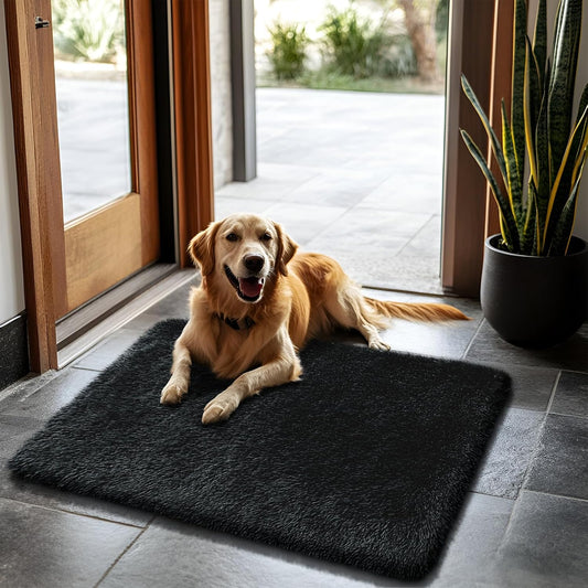 Skiennix 2x3 Fluffy Area Rug - Soft Shag Non-Shedding Indoor Carpet for Kids & Nursery | Black