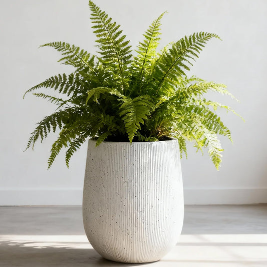 Worth Garden White Large Round Planter, 12.5" Dia x 18.5" H Lightweight Magnesium Oxide Cement Plant Pot with a Striped Textured Finish, Raised Pattern Concrete Look, Drainage Hole, Indoor & Outdoor