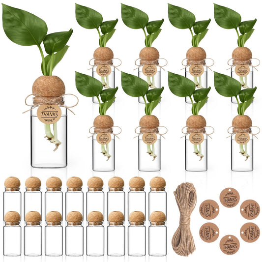 RimCereal 24 Pack 3.54'' Plant Propagation Stations 4 oz Glass Propagation Jars Planter Hydroponic Vase with Mushroom Hole Lid and Thank You Tags for Plant Lovers Office Home Garden