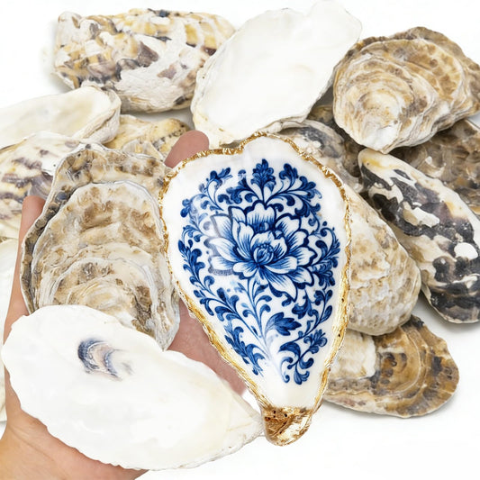 15PCS Natural Oyster Shells 4-5 in Uncarved Oyster Shells for Crafts, Hard Texture for DIY Arts Ornaments, Candle Holders, Coastal Decor & Art Projects