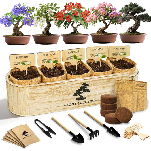 LUOJIBIE Bonsai Tree Kit for Beginners - Unique Gifts for Women, Crafts for Adults, for Women & Men,Complete Indoor Plant Kit,Easy House Plant