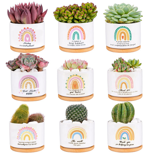 Kolewo4ever 9 Pieces Teacher Appreciation Gifts Ceramic Succulent Plant Pot Small Flower Planter Rainbow Funny Cute Succulent Accessories for Best Teacher Gift Plant Not Included