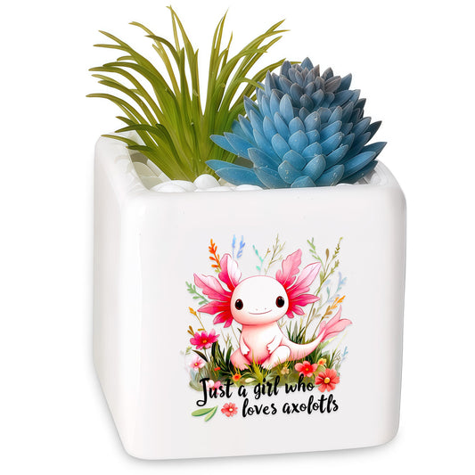 BJDAMAI Axolotl Succulent Planter Flower Plant Pot Small, Gifts for Women Teens Girls Kids, Axolotl Lovers Themed Stuff Accessories Things Decor Merch, Home Office Table Desk Decoration!