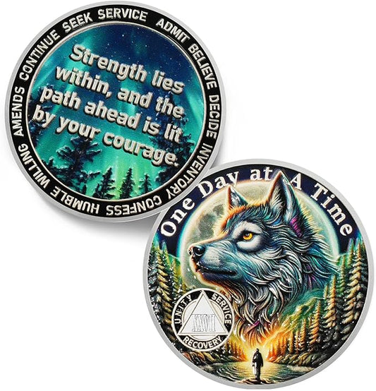 One Day at a Time 27 Year Sobriety Coin - Recovery Aurora Forest Wolf AA Coins - Addiction NA AA Chips and Medallions - Celebrate 1-30 Living Clean Narcotics Alcoholics Anonymous Gifts for Men Women