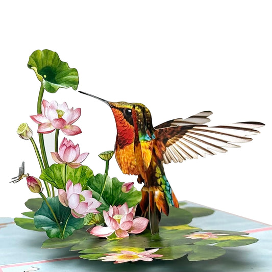 Pop Up Birthday Cards for Women, Hummingbird 3D Birthday Card, Beautiful Hummingbird and Lotus with Koi Fish Design, Pop Up Cards All Occasion for Mother, Mom, Her, Granmother and Daughter, Mothers Day Card