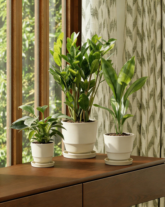 Bamworld Plant Pots Planters for Indoor Plants Flower Pots with Drainage Holes 3.5/4.9/6.3 Inch Set of 3 Plastic Planters for Outdoor Plants Garden Office Room Home Decor Textured White