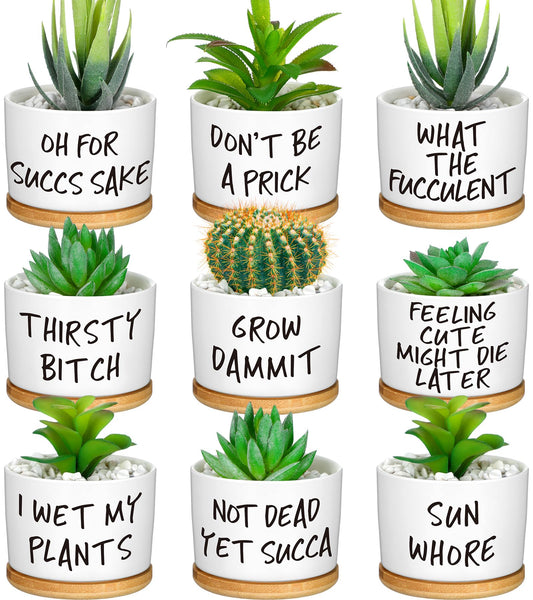 Domensi 9 Pcs Funny Succulent Pots Cute Aloe Cactus Planter with Bamboo Tray Ceramic Accessories White Mini Flower Drainage Tray Pots Indoor Outdoor Plants Birthday Gifts Housewarming Women Coworker
