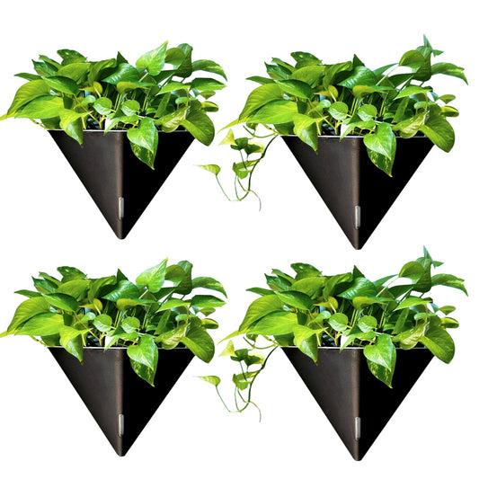 LaLaGreen Wall Planters for Indoor Plants - 4 Pack, 12 Inch Large Self Watering Black Geometric Hanging Flower Vase Vessel with Metal Hanger, Modern Stylish Wall Mounted Succulent Pot Holder Decor