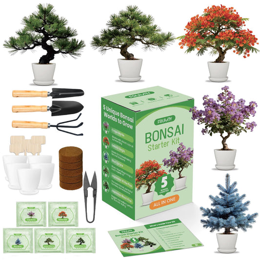 Bonsai Tree Kit for Beginners – 5 Bonsai Starter Kit for Beginner, Indoor for Growing Bonsai Plants with Tools & Planters – DIY Craft Gardening Gifts, White Elephant Gifts for Adults Men Women