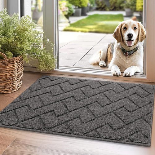 Hicorfe Indoor Doormat - Absorbent Non-Slip Welcome Mat | 20"x31.5" Grey Low-Profile Design