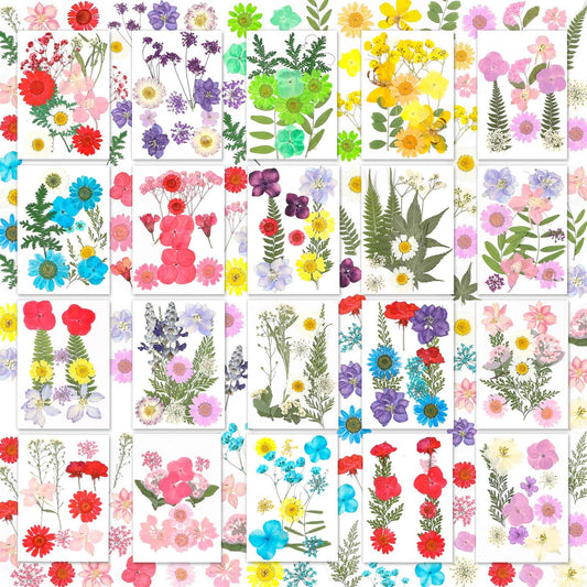 200 Pcs Dried Pressed Flowers for Crafts, 20 Sheets Real Dry Florals and Leaves Bulk with Tweezer for Resin Molds Candle Soap Making Scrapbook Bookmarks Frames Supplies Kit Nail Art Makeup Decor