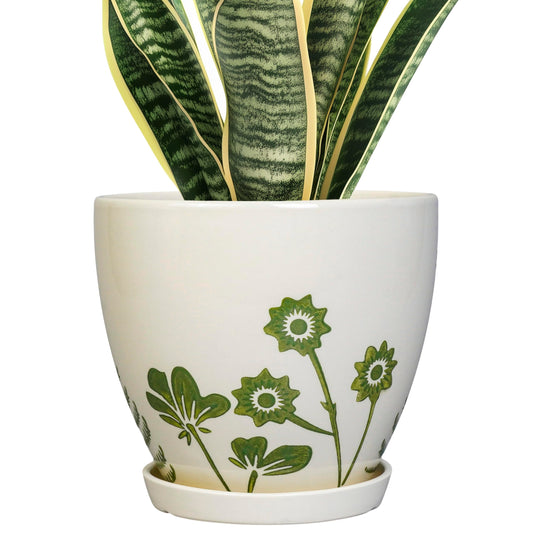 MPotTo 8.2 Inch Plant Pot - Ceramic Planter for Indoor Outdoor Flowers, Boho Round Decorative Indoor Flower Pot with Drainage Hole and Saucer, Gifts for Plant Lovers, Office Garden House Decor, White