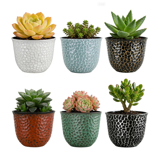 Worth Garden Plastic Round 8 Inch Planters for Indoor Plants Set of 6 Outdoor Resin Flower Pots Colorful with Drainage Hole Rubber Plug Retro Appearance Home Christmas Decorative Containers Multicolor