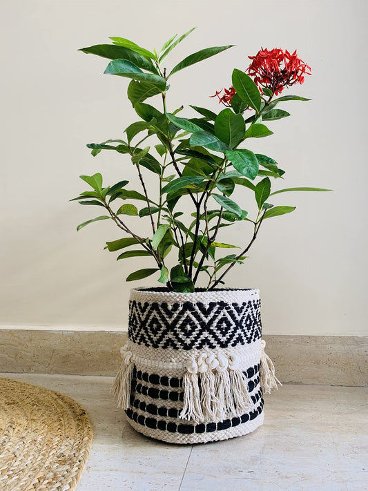 NATURE4U Boho Hand Woven Plant Basket Modern Woven Basket for 4-6.5" Flower Pot Floor Indoor Planters, Storage Organizer Rustic Home Decor, Black and White with Tassels 9” x 9"