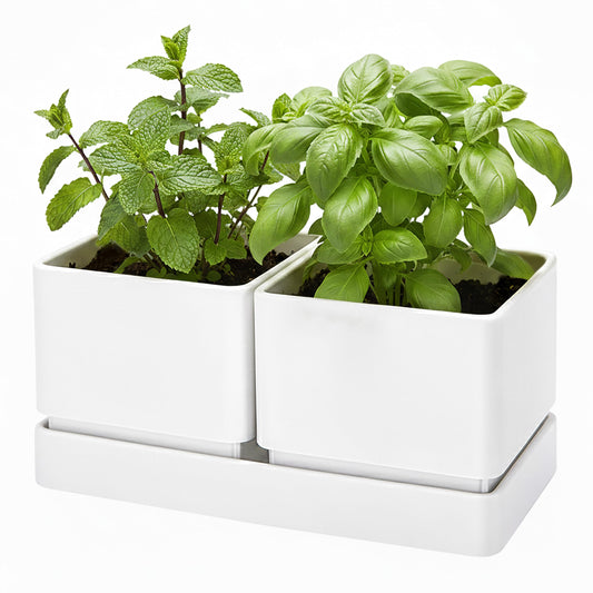 D'vine Dev Indoor Herb Garden Planter Set, Plastic Windowsill Plant Pots with Drainage and Saucer, Indoor Succulent Cactus Vegetable Pot for Balcony, Office, Garden, White, Set of 1, 76-Q-A-1