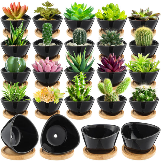 Domensi 12 Pack Succulent Planter Pots 3 Inch Small Plant Pots Mini Ceramic Succulent Planter Holder with Drainage Holes and Bamboo Saucers (White)
