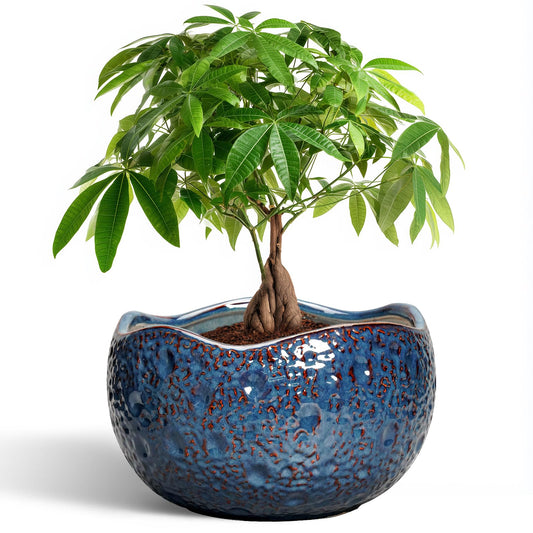 Thirtypot 10 Inch Plant Pot - Ceramic Planter for Indoor Outdoor, Round Bonsai Pots, Decorative Flower Pots with Drainage Hole, Modern Unique Planters, House Decor, Home Gifts, Retro Blue