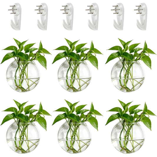 NUPTIO Wall Hanging Planter Terrarium: 4 Inch Glass Air Plant Holder 6PCS Propagation Indoor Floral Vase Flat Round Hydroponic Container Wall-Mounted Floating Pots for Bathroom Balcony Greenhouse