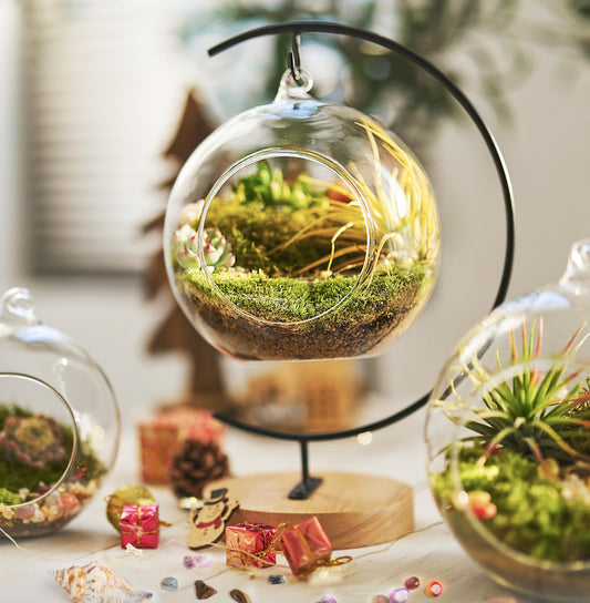 LUCKYRUNES DIY Terrarium Kit with Live Moss, 15-Piece Glass Globe Set with Wooden Stand, Tools, Soil, Stones & Spray Bottle, Indoor Mini Garden Gift for Plant Lovers, Home Desk Decor