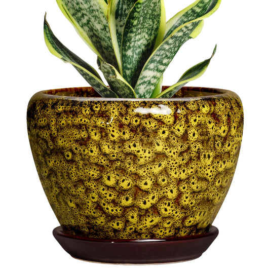 Thirtypot 6 Inch Ceramic Plant Pots - Ceramic Pots for Plants Indoor Outdoor, Decorative Round Planter with Drainage Hole and Tray, Small Flower Pot, Bedroom Decor, Plant Lover Gifts, Yellow Leopard