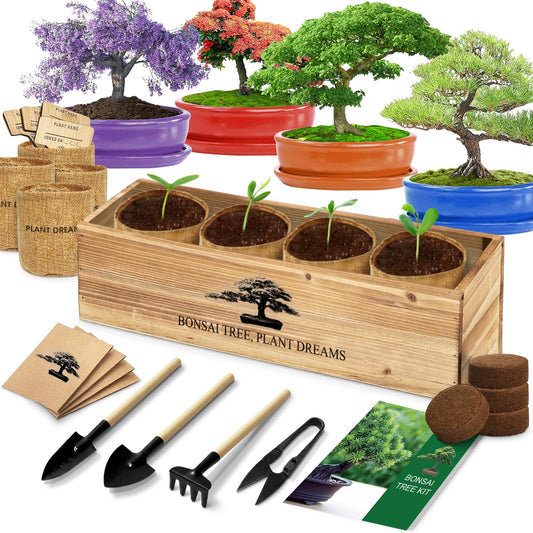 Bonsai Tree Kit, Bonsai Starter Kit with Seeds & Tools, Tree Live Plants Indoor, Gardening Gifts for Women Men Mom Father Plant Lover, Birthday Gifts for Women