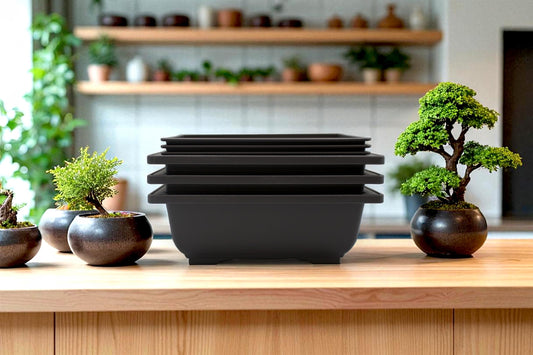 Bonsai Pots Rectangular Planter Containers with Humidity Trays, 3 Pack - 9 Inch Plastic Growing Pots for Garden, Succulents, Small Flowers and Plants