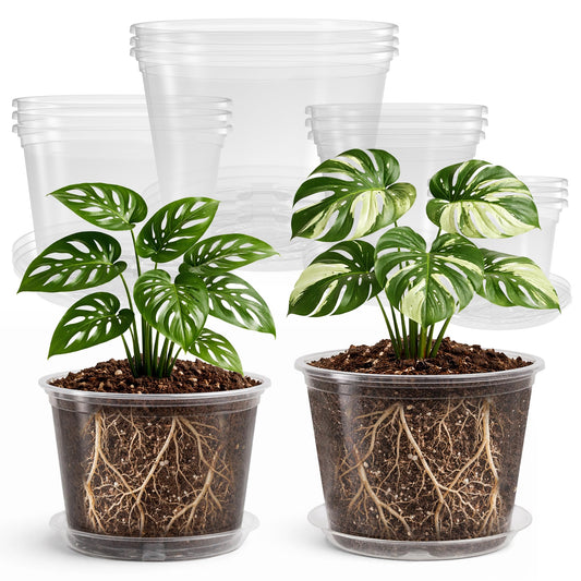 Bluepro 12 Pack 10/8/6/5 Inch Reinforced Large Clear Nursery Pots with Saucers, Transparent Variety Pack Plastic Plant Pot with Drainage Holes for Vegetable Propagation, Root Cutting, Seed Starting