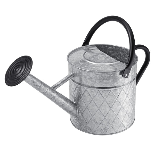 BLstyle 1.75 Gallon Outdoor Galvanized Metal Watering Can for Garden Plants, Vintage Zinc Watering Can with Removable Spray Spout, Ideal for Outdoor Use (Silver)