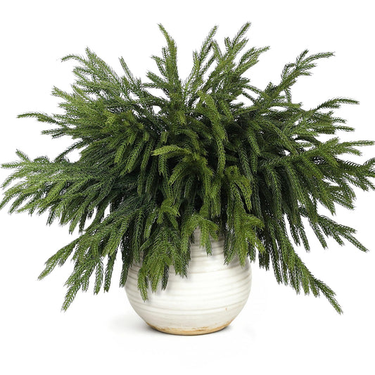 20 Pcs Christmas Norfolk Pine Branches -18" Real Touch Artificial Norfolk Pine Branch Faux Plants Stem Fake Greenery Pine Picks for Vase DIY Crafts Garland Wreath Home Indoor Outdoor Decoration